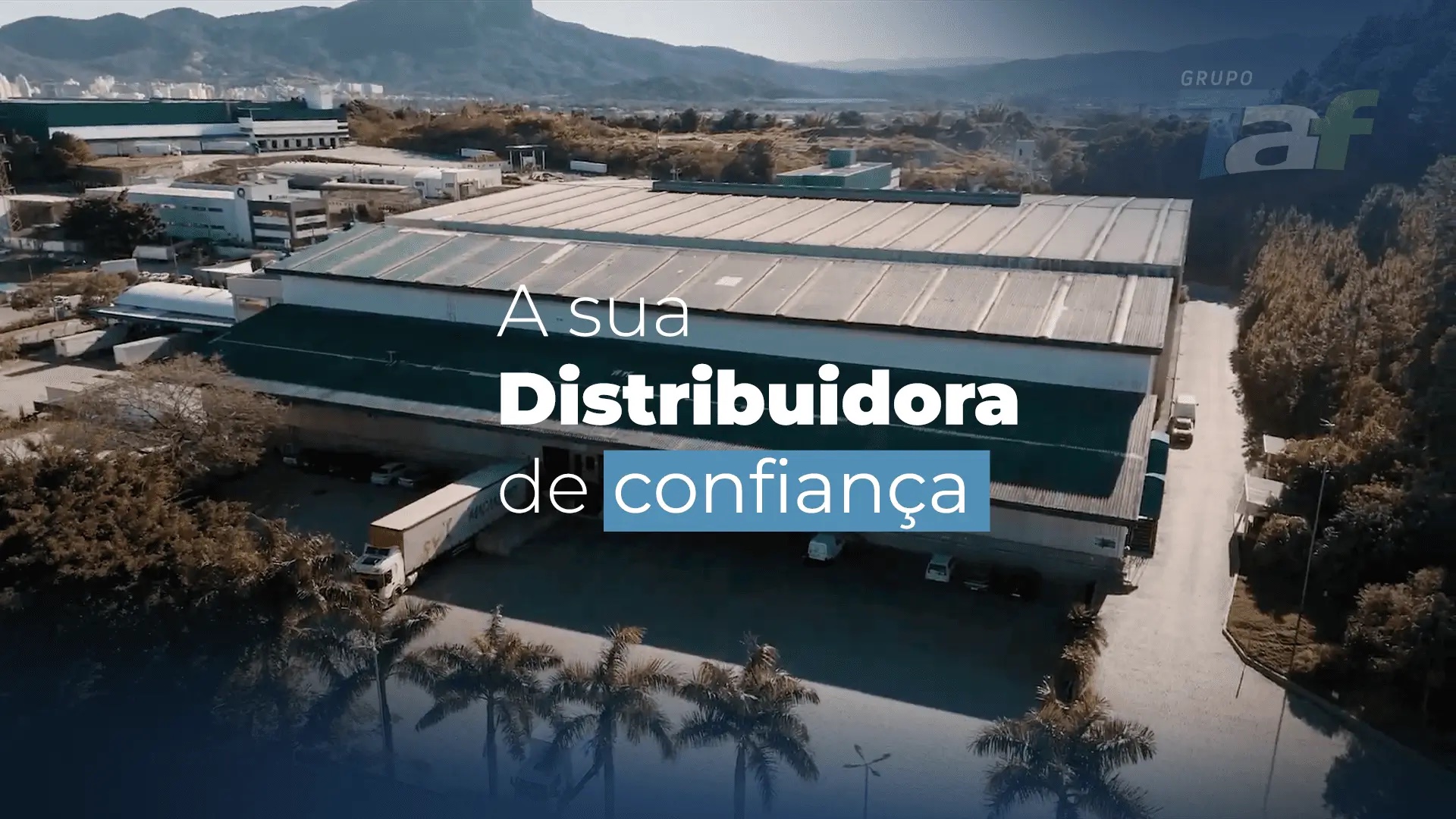 TAF Distribuidora